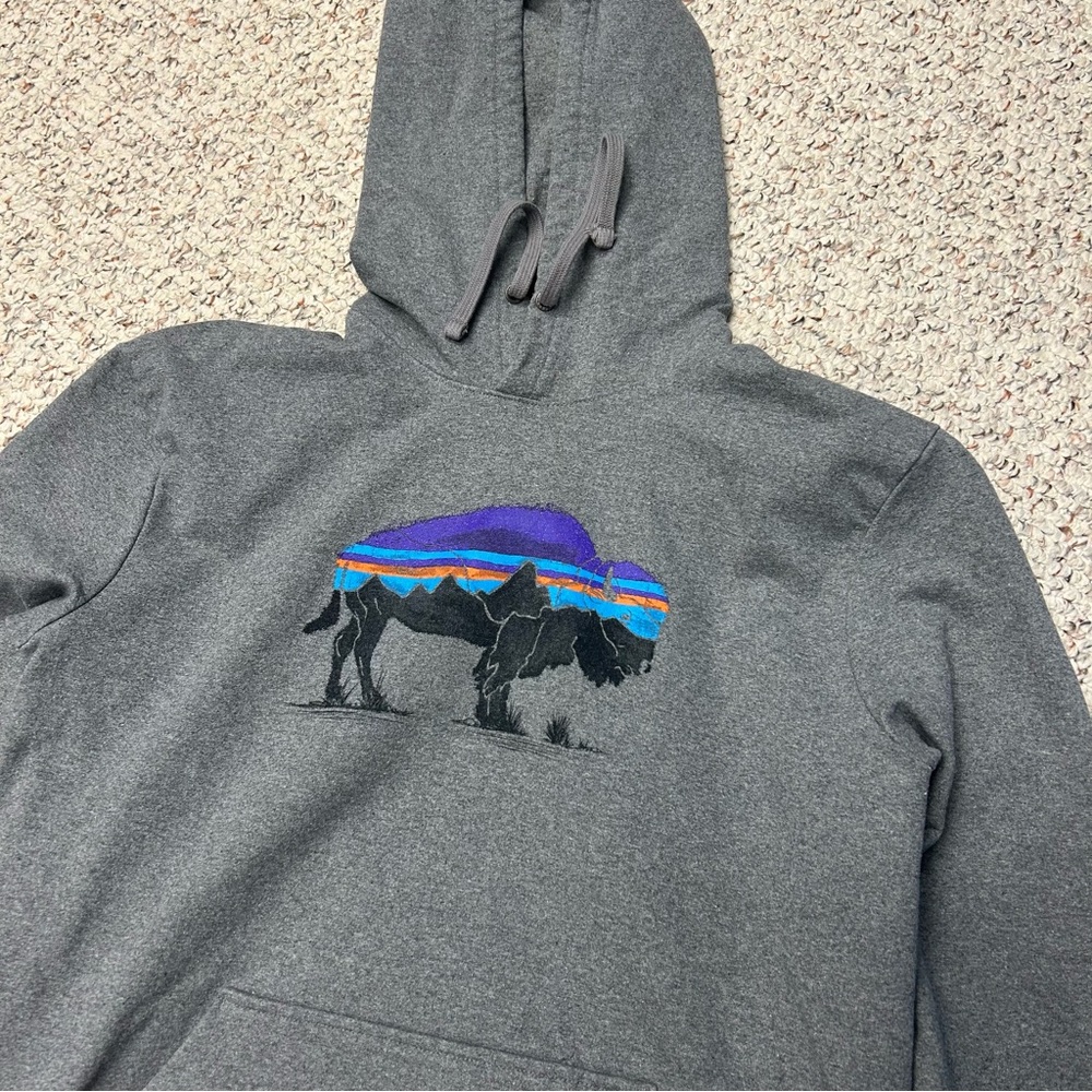 Patagonia Gray Hoodie with Buffalo Design